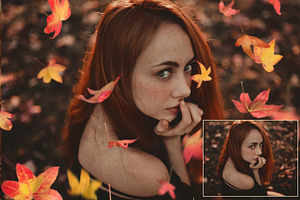 Falling Leaves Overlays