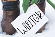Summer Jasmine | Script Font, a Script Font by Scratchones (Thumbnail 5 of 8)
