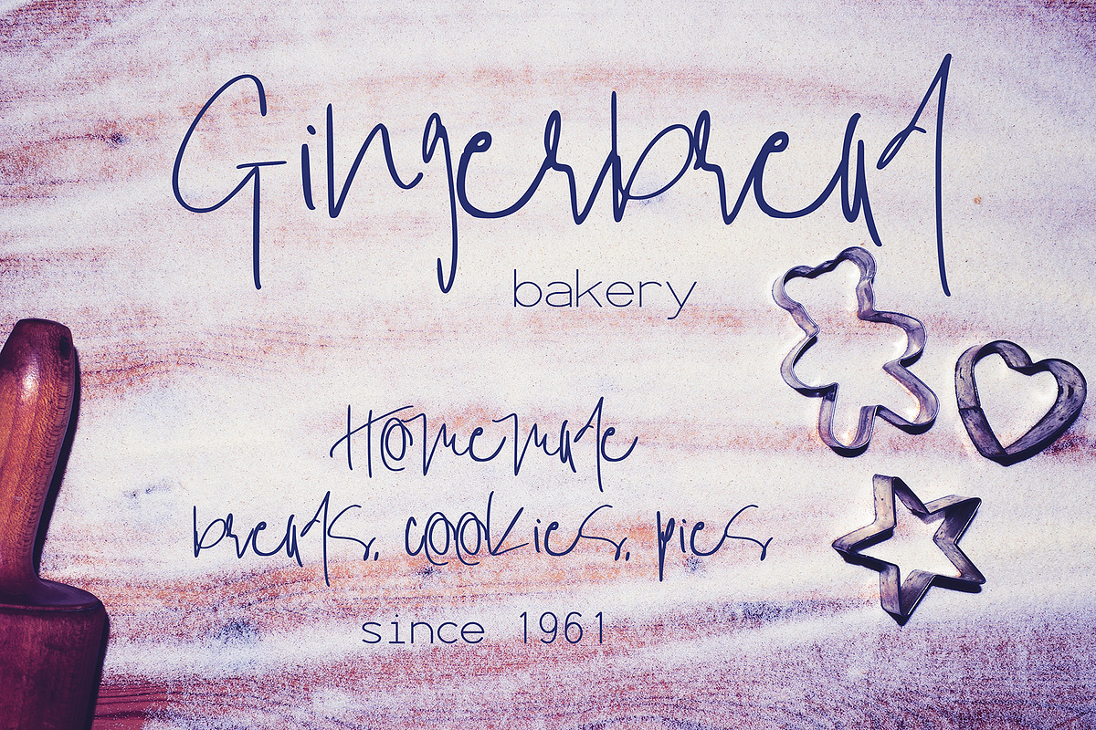 Wilson Font, a Script Font by SophieSaxo (Photo 7 of 9)
