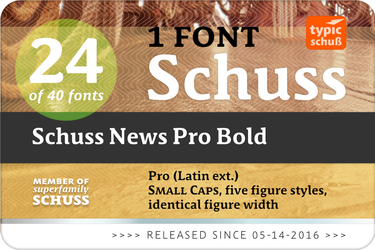 SchussNewsProBold No.24 (1 Font) preview 2