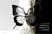 BUNDLE. Tropical Plants & Animals, an Object Graphic by Yevheniia (Thumbnail 6 of 8)