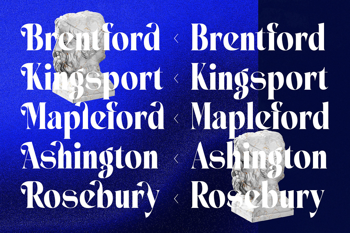 Seafibe Modern Serif Display, a Serif Font by timelesstype.co (Photo 7 of 20)