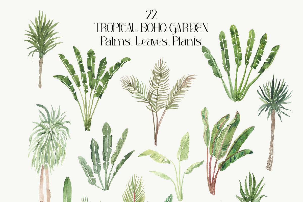 Tropical Boho Garden Plants & Floral, a Decorative Illustration by Catch the Dream Art (Photo 4 of 10)