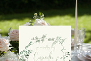 Sage Floral Illustrations, an Object Graphic by whiteheartdesign (Thumbnail 4 of 14)