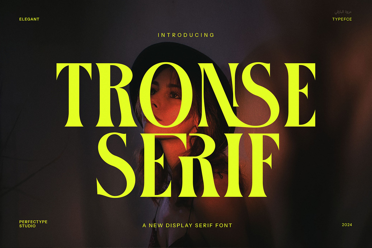 Tronse Elegant Serif Font, a Serif Font by Perfectype (Photo 1 of 8)