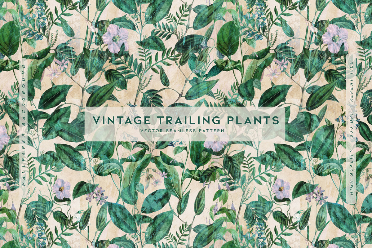 Vintage Trailing Plants, a Wallpaper Graphic by MalyskaStudio