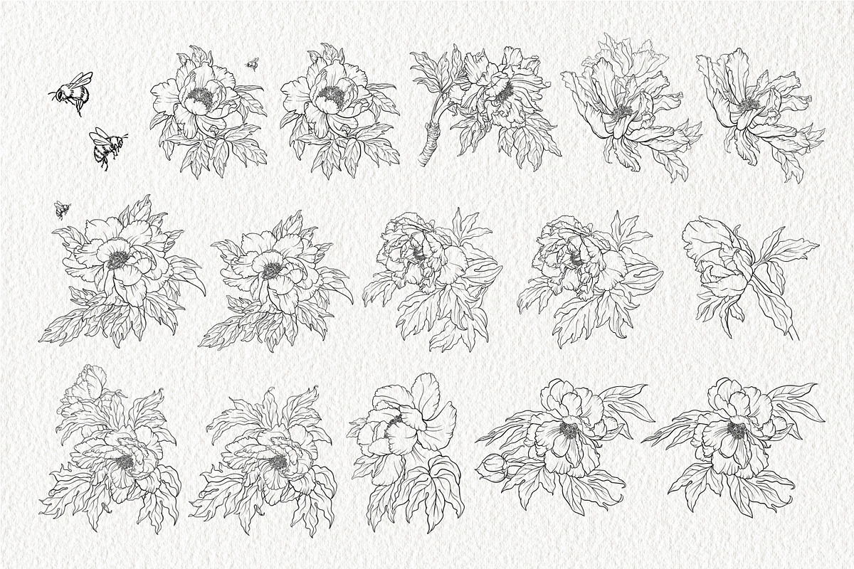 Stamp brushes for Procreate peonies, a Brush Add-On by ViktoriArt (Photo 2 of 7)
