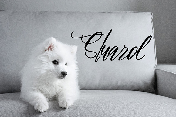 Stuard font preview 6