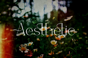 Cafgirst - Luxury Font, a Serif Font by Iqsiart Studio (Thumbnail 10 of 16)