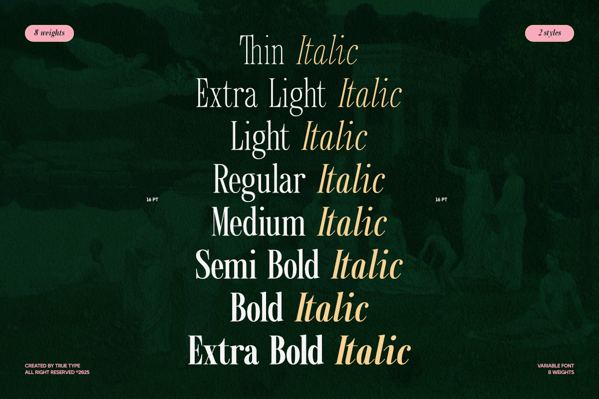 TRT Kingdom Heaven Serif Family, a Serif Font by truetype (Photo 2 of 15)