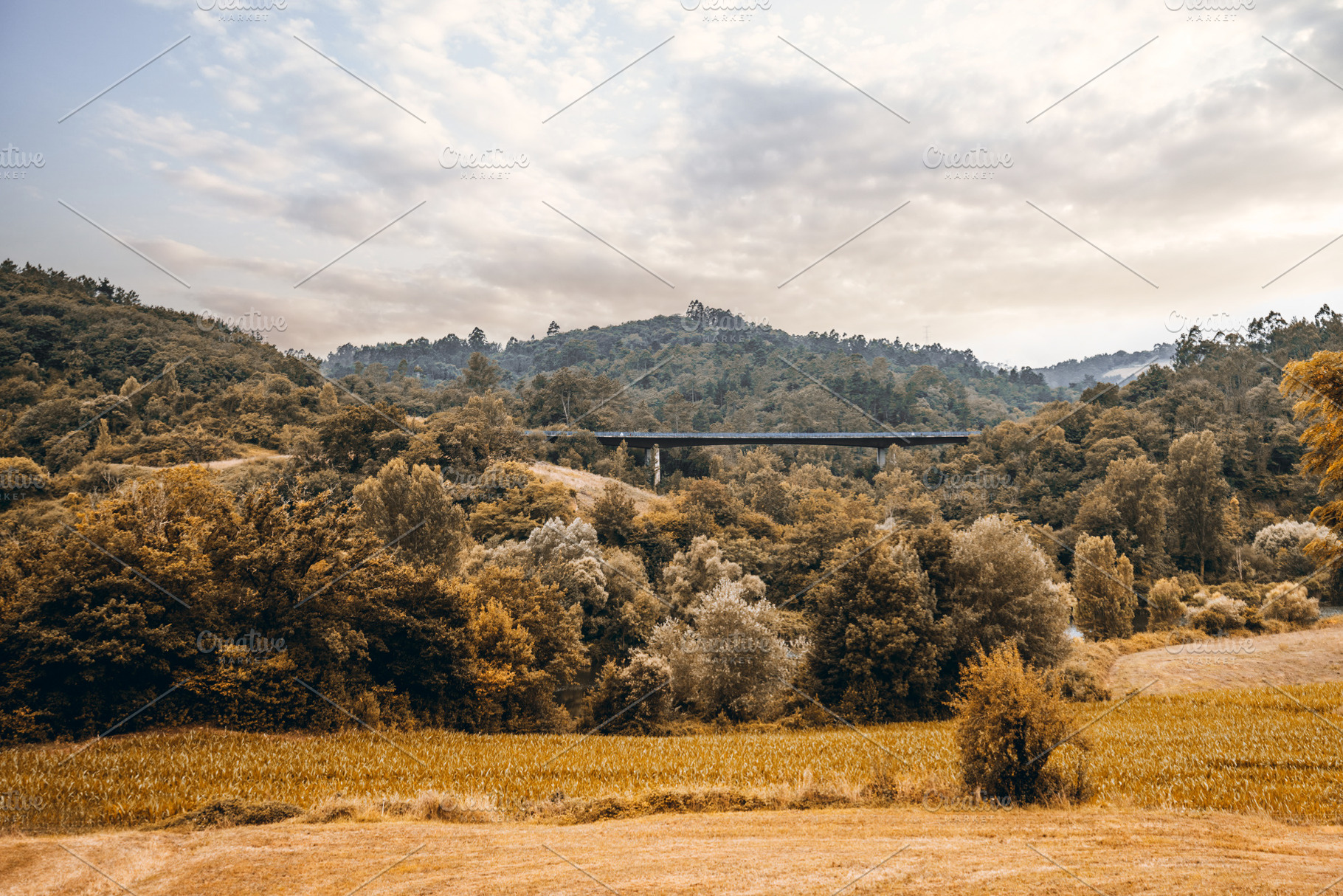 Autumn hills of Asturias, a Nature Photo by SkyNext