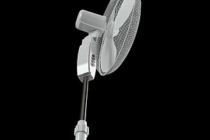 Oscillating Pedestal Fan