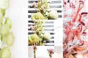 May Florals Bundle 2, a Household Mockup by Paisley Barn Design (Thumbnail 5 of 6)
