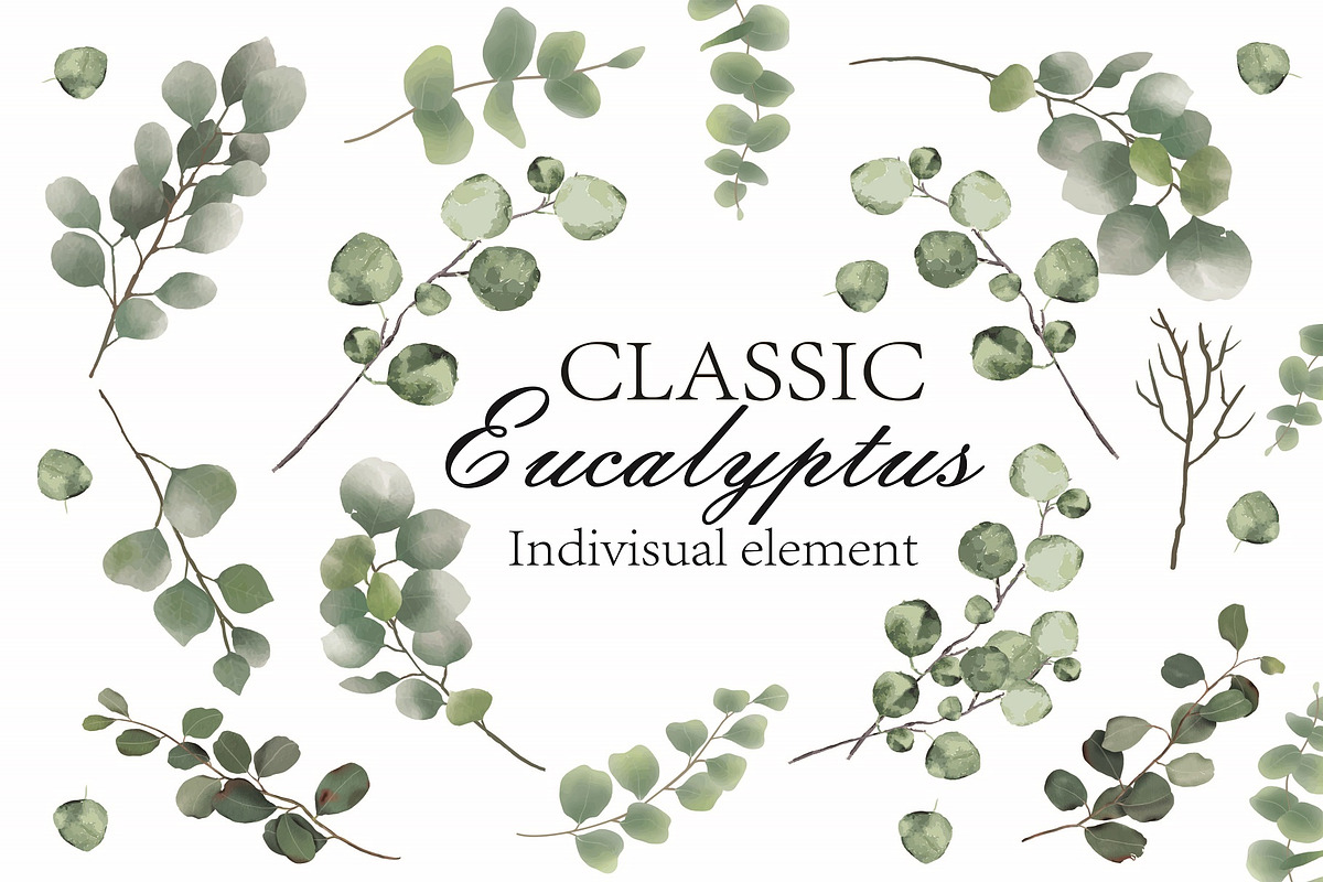 Watercolor Eucalyptus PNG Bunlde, an Illustration by Digi_Design_World (Photo 1 of 4)