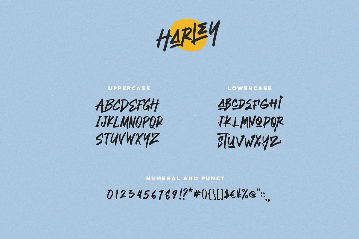 Harley - Stylish Brush, a Script Font by ARSAVISUAL (Photo 8 of 9)