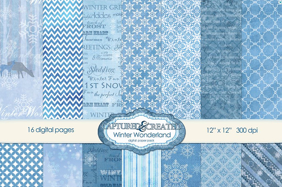 Winter Wonderland: Digital Paper-16 preview 5