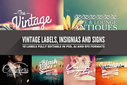 Vintage Badges, Insignias & Signs, a Branding & Logo Template by Graphicdome (Thumbnail 1 of 5)