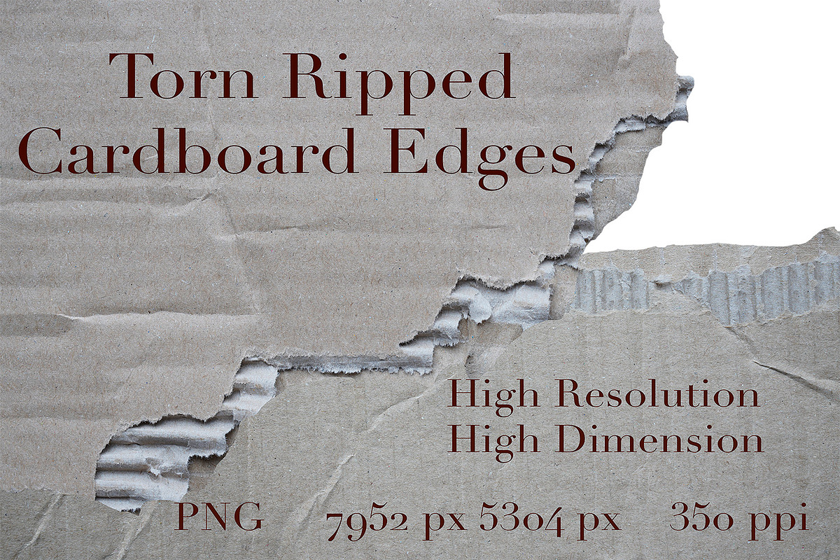 40 Ripped Torn Cardboard Edges (PNG), a Texture Graphic by Bilgep_design (Photo 1 of 16)