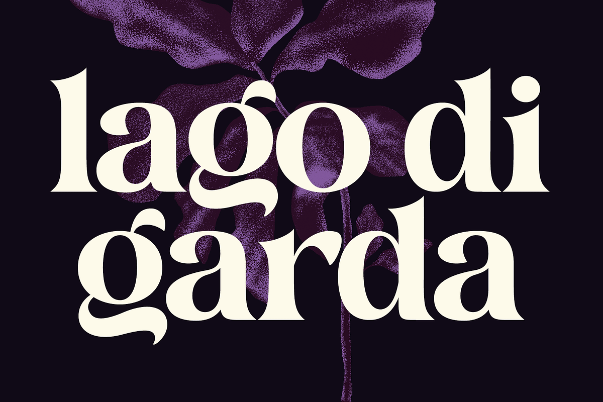 Postre -Stylish Serif, a Serif Font by Fenotype (Photo 6 of 16)