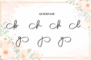 Hailey | Script Font, a Handwritten Font by Scratchones (Thumbnail 8 of 9)