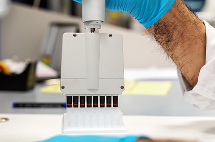 Doctor using multichannel pipette in, a Health & Medical Photo by Perpis
