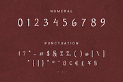 Velonyka, a Script Font by Letterature Std. (Thumbnail 5 of 8)