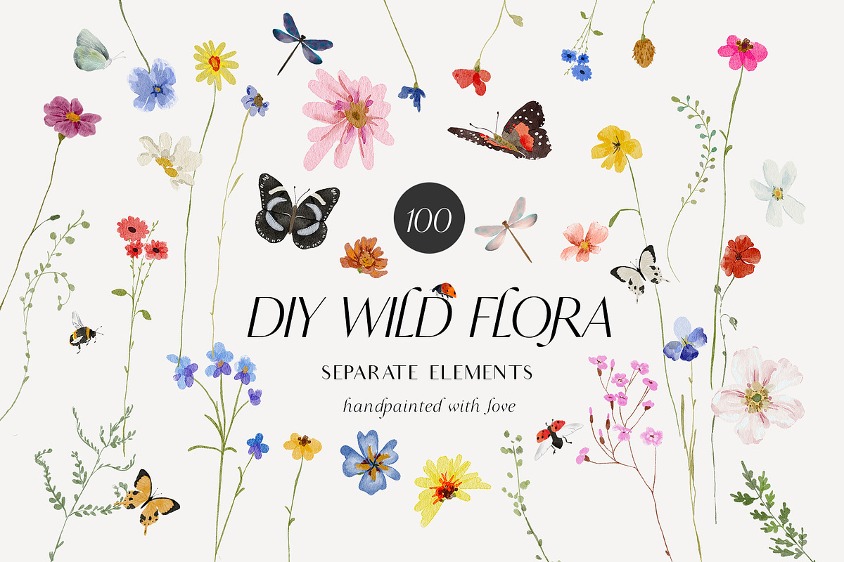 Watercolor Bright wildflowers set, a Decorative Illustration by Grace Noboa Illustrations (Photo 6 of 11)