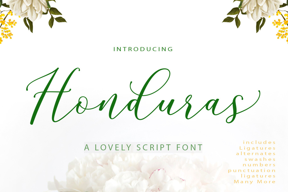 Honduras Script, a Script Font by Gatype (Photo 1 of 7)