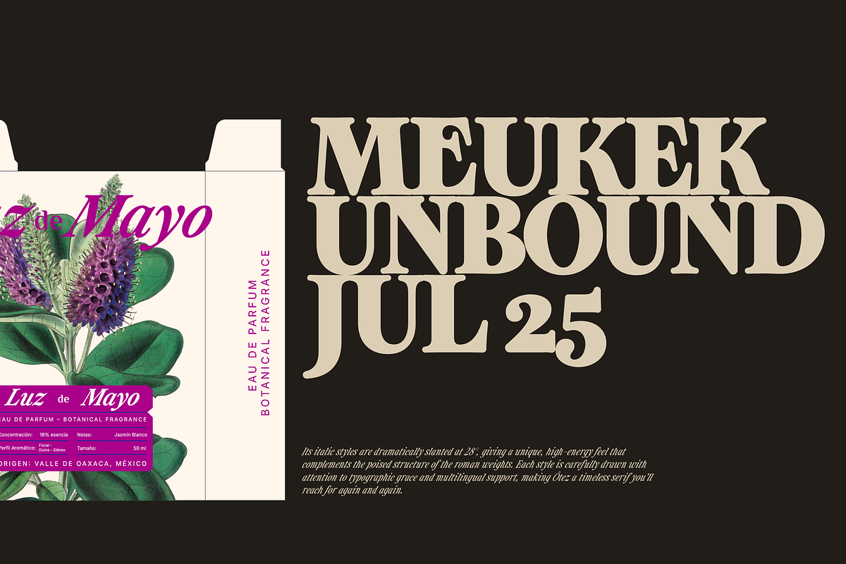 ZT Otez Retro Serif - 90 fonts, a Serif Font by zelow type (Photo 7 of 15)