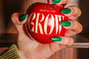 INSIGNIA SERIF, a Serif Font by Tropical Type (Thumbnail 4 of 11)