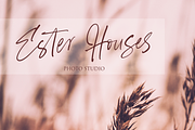 Westborn - Signature Style, a Script Font by Sronstudio (Thumbnail 3 of 18)