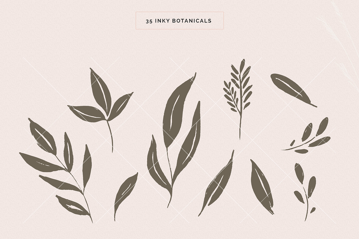 Organic Botanicals & Logo Designs, an Illustration by amber&ink (Photo 9 of 17)