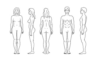 Silhouettes of human body