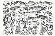 Fish and seafood sketches, a Food Illustration by katya.bogina (Thumbnail 3 of 3)