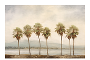 Palm Co · Peaceful Palm Tree Row, a Decorative Illustration by milatovar (Thumbnail 13 of 16)