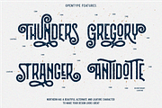 Northern Vintage Monoline Script, a Serif Font by Angin Studio (Thumbnail 6 of 17)