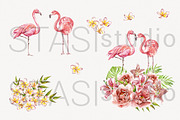 Pink Flamingo Watercolor Clipart, a Decorative Illustration by STASIstudio (Thumbnail 2 of 3)