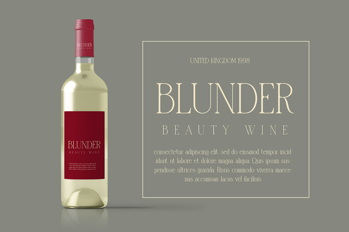 Blunder Modern Serif Typeface, a Serif Font by Alfinart (Photo 4 of 10)