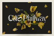 Cas Phillway Elegant Font, a Sans Serif Font by Casloop Studio (Thumbnail 2 of 17)