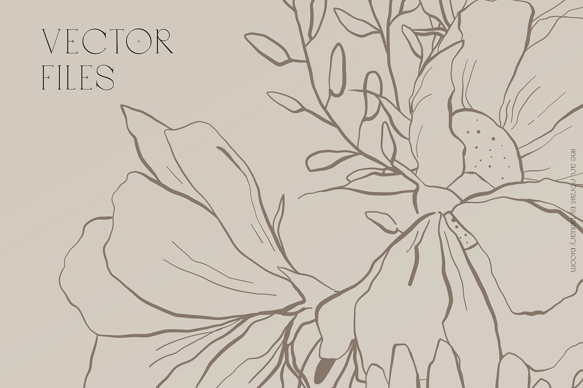 Floral Line Art & Botanical Clipart, an Illustration by January Bloom (Photo 3 of 13)
