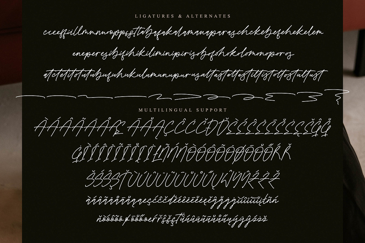 Brighton Heritage, a Handwritten Font by operatype.co (Photo 14 of 15)