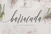 Barracuda Script, a Script Font by joelmaker (Thumbnail 1 of 12)