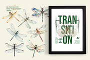 Transparent Wings Contemporary Art, an Object Graphic by Red Ink (Thumbnail 4 of 8)
