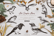 Nordic Birds Ink & Watercolor Set, an Illustration by Fluffy Unicorn (Thumbnail 6 of 12)