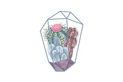 Cactuses and succulents collection, a Decorative Illustration by handsketched (Thumbnail 6 of 7)