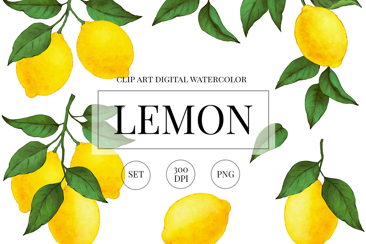 Watercolor  Lemon Clipart  PNG., a Graphic by ARTVracovska (Photo 1 of 4)
