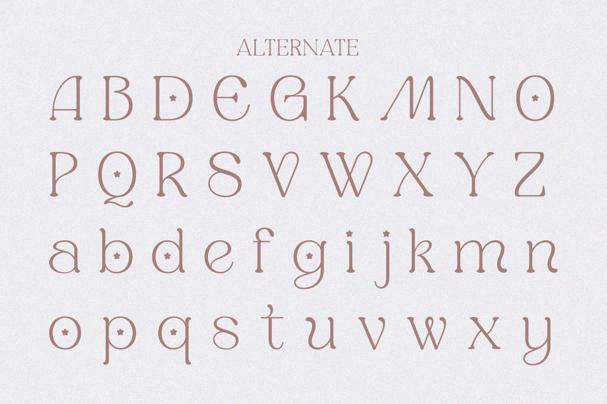Honey Cloudlight - Modern Elegant, a Serif Font by Qweera Studio (Photo 11 of 12)