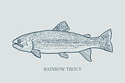 Hand drawn vectors of saltwater fish, an Animal Illustration by Naty Art (Thumbnail 11 of 11)
