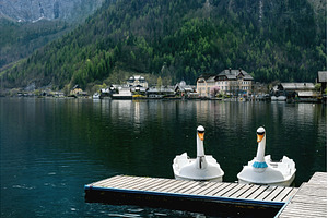 Hallstatt Austria. Swan Boats on, a Nature Photo by Natasha Breen