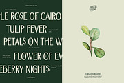 TBJ Orcherum Unique Ligatures Sans, a Font by Taboja Studio (Thumbnail 4 of 21)